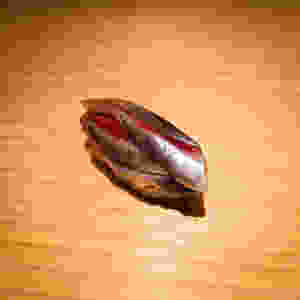 鰯