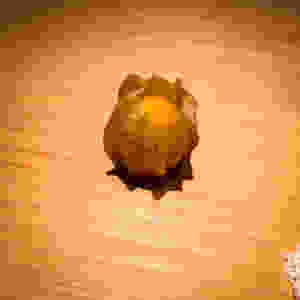 鬼灯