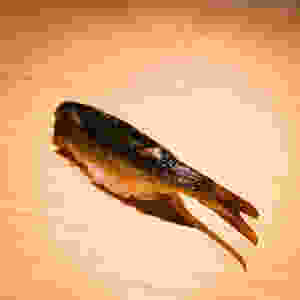 鮎