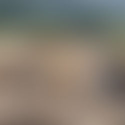 MCGI’s “Anytime Soon” Doctrine But Never Too Soon for Real Estate