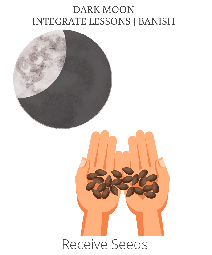 Dark Moon integrate lessons learn, receive seeds for next new moon intentions