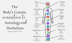 The Body's Cosmic connection to Astrology and Herbalism