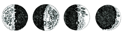 Pleine Lune Films (2).png