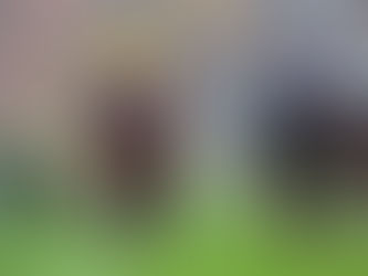 The future of racing?