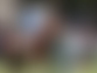 derbysieger palladium mit champion jockey thore hammer hansen auf der galopprennbahn hamburg-horn