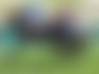 STRAIGHT in the desert