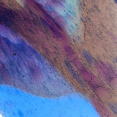 20220508_113755 - Copy.jpg