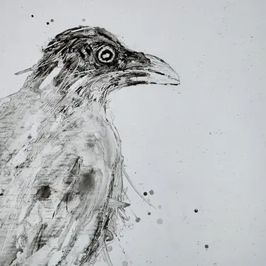 IMG_20221020_124531_158 - Copy.jpg