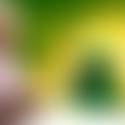 MAXIMIZE A PRODUTIVIDADE: 3 DICAS ESSENCIAIS PARA O MONITORAMENTO EFICIENTE DE MÁQUINAS AGRÍCOLAS 