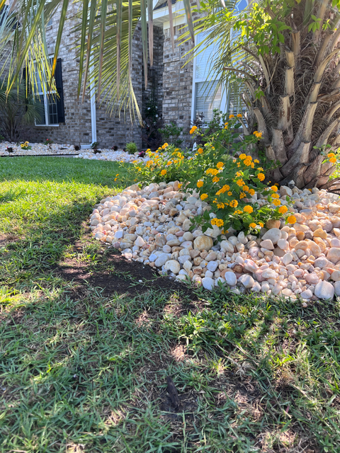 Copy of IMG_0513.HEIC