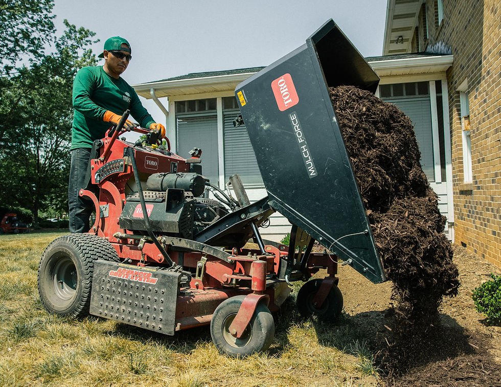 Landscape services McGaheysville Virginia