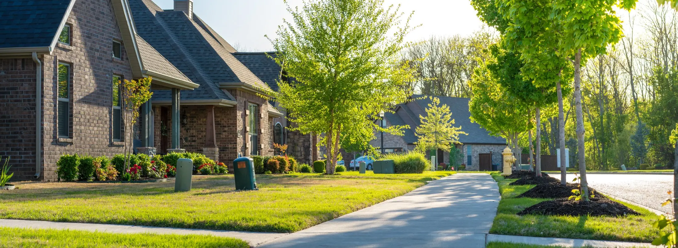 Property Cleanup Company near me
