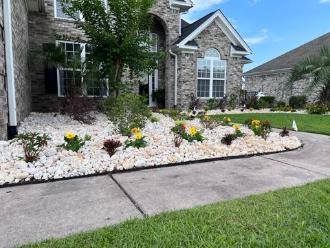 Copy of IMG_0505.HEIC