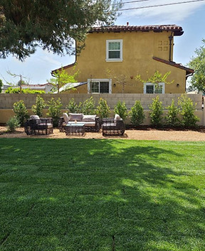 Sod Installment Near Me