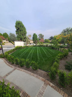 Residential lawn mowing business near me