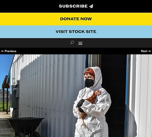 Screenshot 2025-07-18 at 9.11.27 AM.png