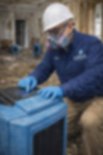 Mold Mitigation in Action