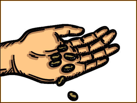  Todos quieren sombra…