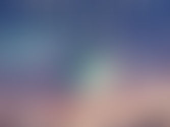 Guest Blog by Alicia Hilsher