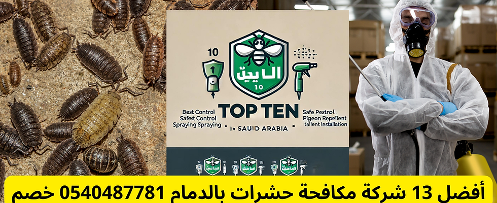 أفضل 13 شركة مكافحة حشرات بالدمام