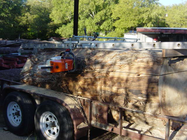 Cottonwood, 40 inch104.JPG
