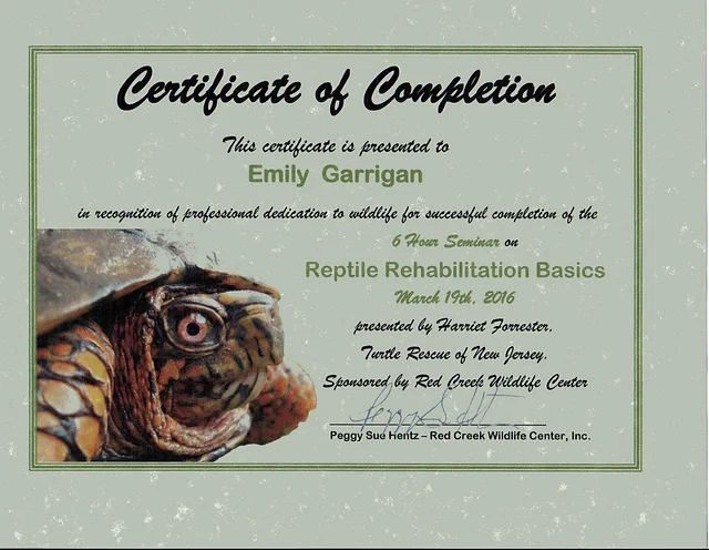 Certificates Permits Emilygarrigan