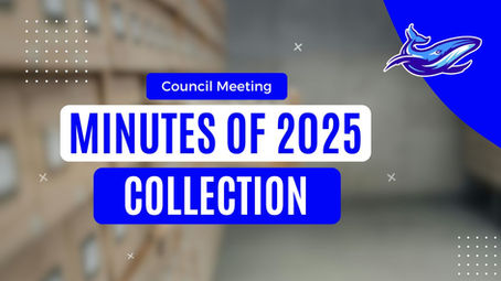 Council Meeting Minutes of 2025 - Collection