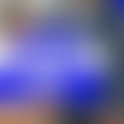 2025 LA Elections - Your quick recap