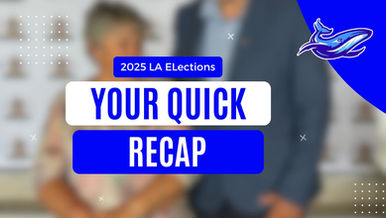 2025 LA Elections - Your quick recap