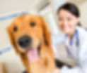Fotolia_50852155_Subscription_Monthly_M.