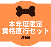 本年度限定資格取得直行セット