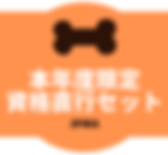 本年度限定資格取得直行セット