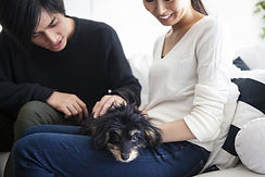 AdobeStock_242604444.jpeg