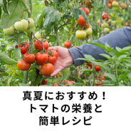 真夏におすすめ！トマトの栄養と簡単レシピ