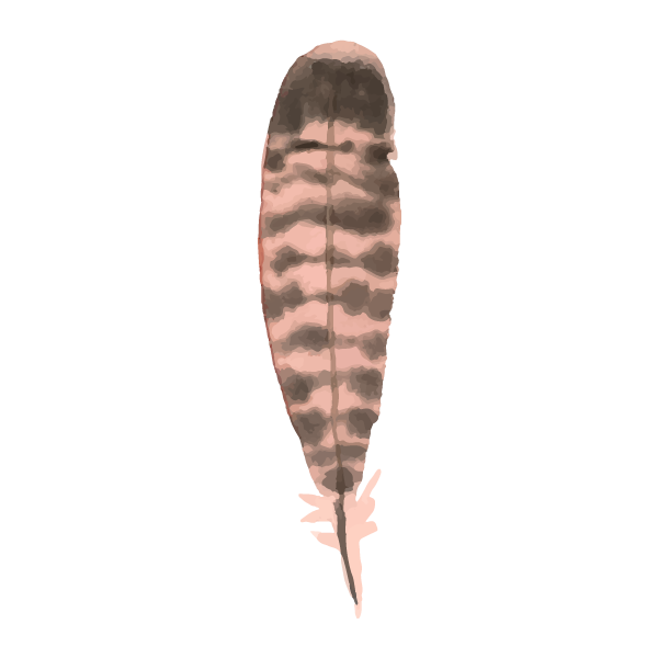 Feather 7