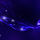 Violet Stars
