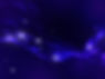 Violet Stars