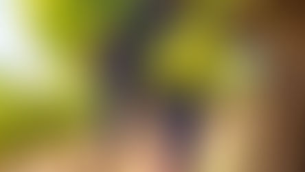 Fresh Farms' "Taste to Believe" Campaign: A Sweet Success in Grape Marketing