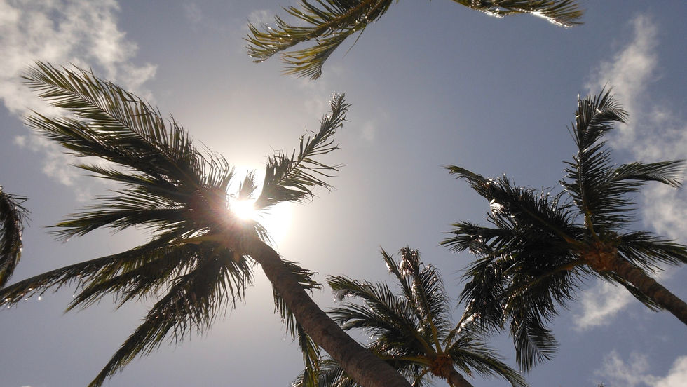 ARUBA WIND.
