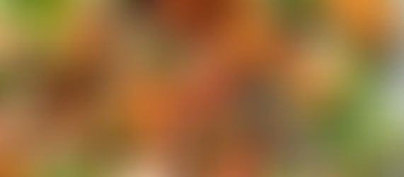 Palestinian Fattoush