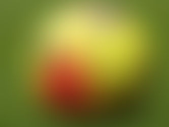 Shea Lacey's brother charged with attempted murder