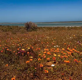 IMG_6956.webp