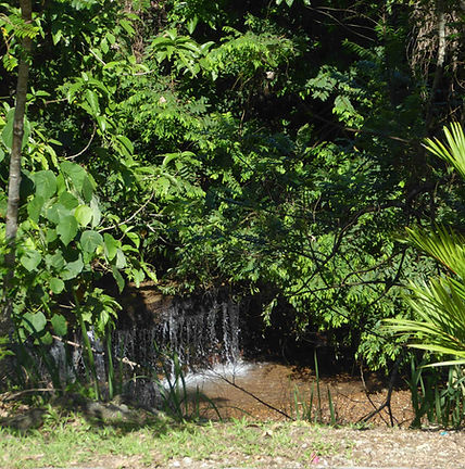 p1010549-view-of-stream-from-house_orig.jpg