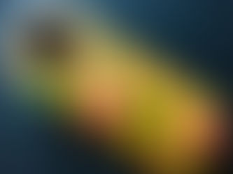 Best Sushi in English Harbour? Try Lemongrass Lounge, Antigua