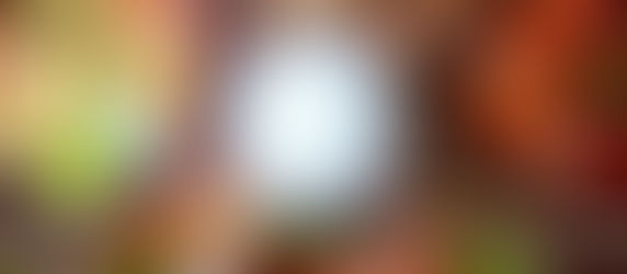 Antigua's Asian Lounge Vibe: The Music | Lemongrass Kitchen and Lounge