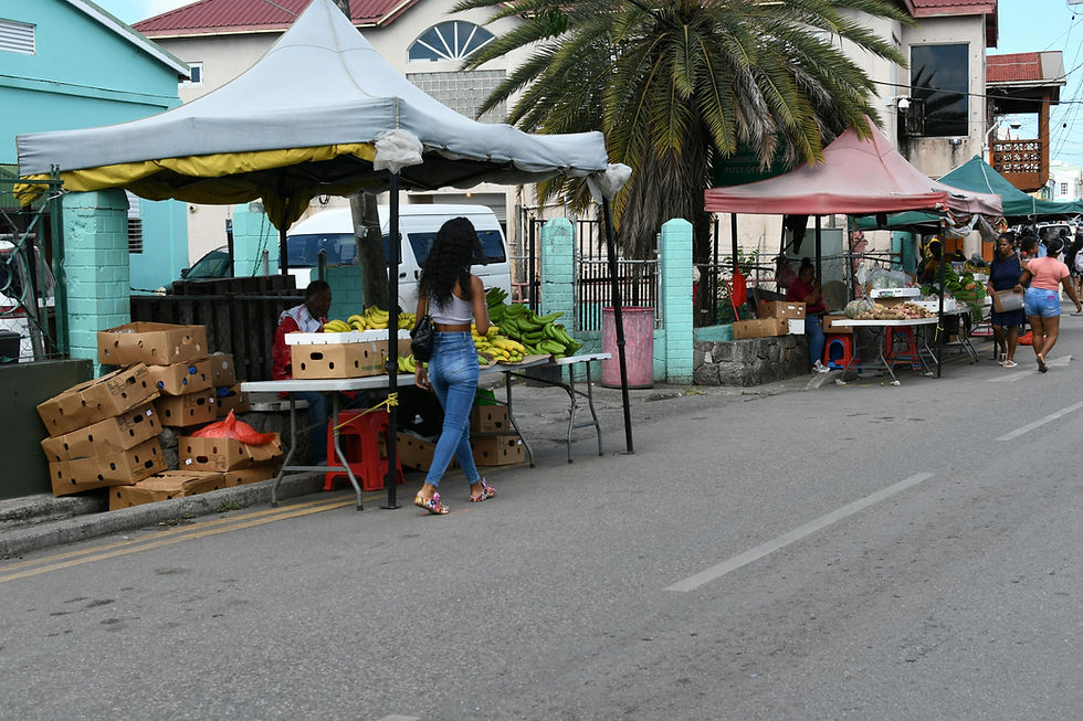 Top 7 Best Local Markets and Shopping Spots in Antigua