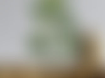 IPP AND RCA versus KEEPING RETAINED EARNINGS: A TWENTY‑YEAR NUMBERS CHECK