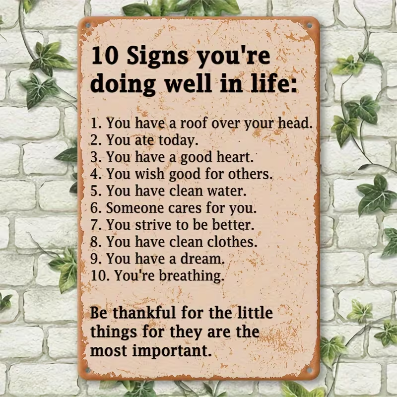 1 stk. vintage metall skilt: "10 tegn på at du gjør det bra i livet" (20x30 cm)