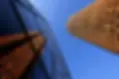.webp