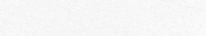 white background.jpg